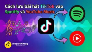 Tikto Luu Nhac 1639056267635761329