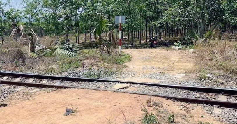 tim tung tich nguoi phu nu cao troc dau bi tau hoa tong tu vong 283