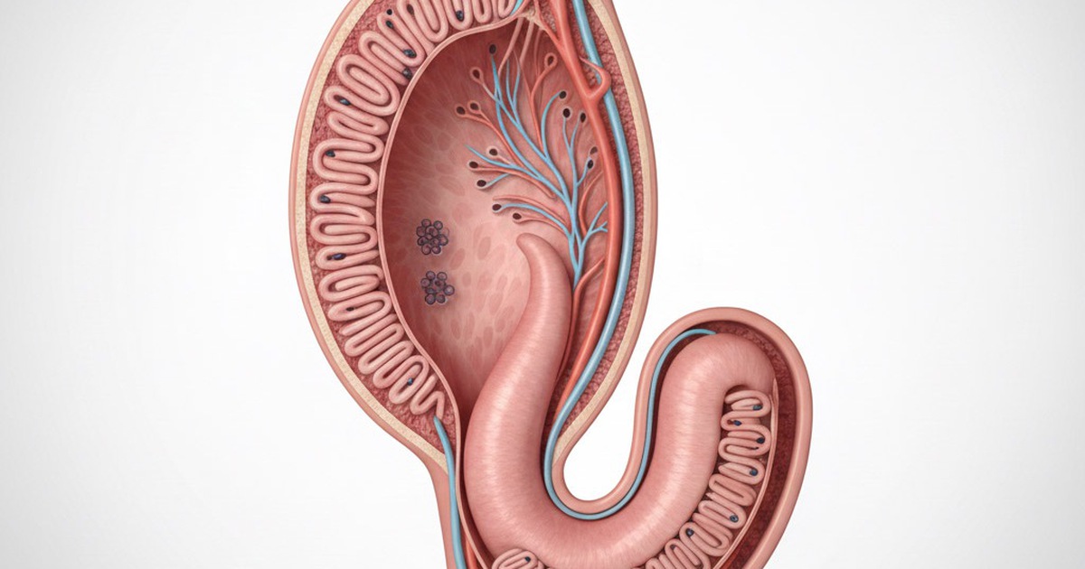 Tinh Hoan 17687119561551209486843 105 0 745 1024 Crop 1768712152149145742565