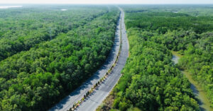 tphcm dung 7 du an nho le de nghien cuu mo rong duong rung sac len 10 lan xe 2259