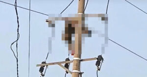 treo len cot dien bat chim nam sinh lop 9 bi dien giat tu vong 538