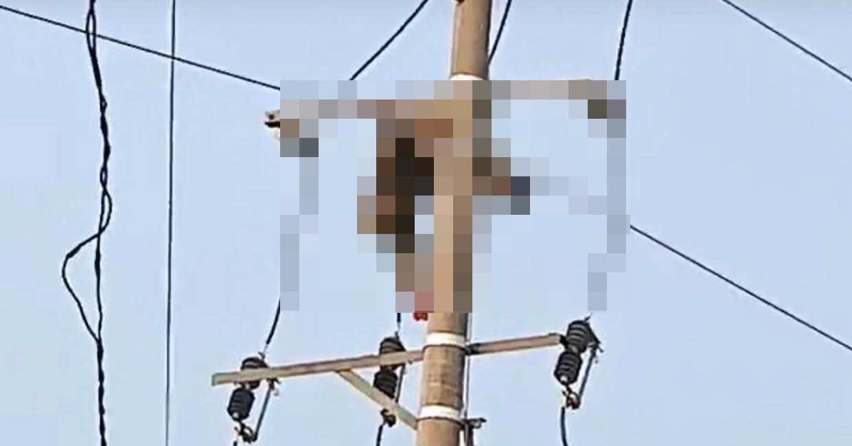 treo len cot dien bat chim nam sinh lop 9 bi dien giat tu vong 538