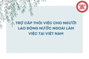 tro cap thoi viec cho nguoi nuoc ngoai