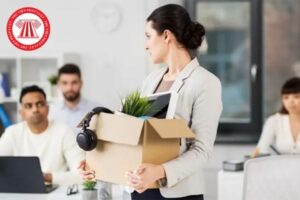 Tro Cap Thoi Viec Mat Viec