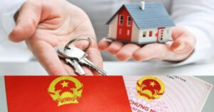 tro ve que huong luc tuoi xe chieu viet kieu co duoc dung ten dat 2247
