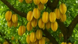 Trong Khe 2 Vi Tri Nay Tran Yem Cua Cai 10 Nha Lam Thi 9 Nha Doi Van Thanh Cong Ngheo Hoa Giau 11360