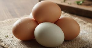 Trung Ga 17696610153582037544790 112 0 752 1024 Crop 1769661079262713111257