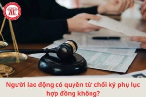 tu choi ky plhd