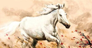 Tử Vi Tuổi Ngọ Năm 2026 Chi Tiết Từng Năm Sinh Tu Vi Tuoi Ngo Nam 2026 Chi Tiet Tung Nam Sinh 1277