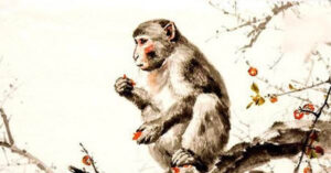 tu vi tuoi than 2026 chi tiet tung nam sinh 281