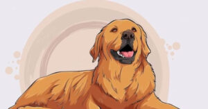 tu vi tuoi tuat nam 2026 thanh cong va may man tren moi phuong dien 6