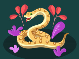 tu vi tuoi ty 2669 36