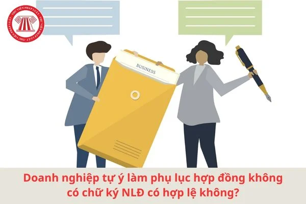 tu y lam phu luc hop dong