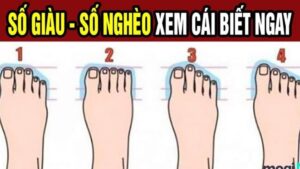 tuong ban chan giau co duong doi trai hoa hong 093152