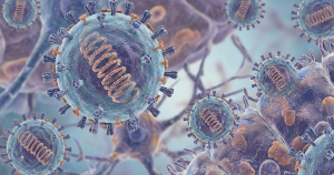 Virus Nipah: Nhanh Trở Nặng, Dễ Nhầm Với Cảm Cúm Hoặc Sốt Siêu Vi Ua Co Thuoc Dieu Tri Dac Hieu Hoac Vac Xin Duoc Su Dung Rong Rai Do Do Nen Duoc Phong Ngua Va Phat H