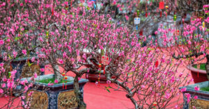 Van Khan Giao Thua Tet Binh Ngo Trong Nha Ngoai Troi Dung Nghi Thuc Co Truyen 2656