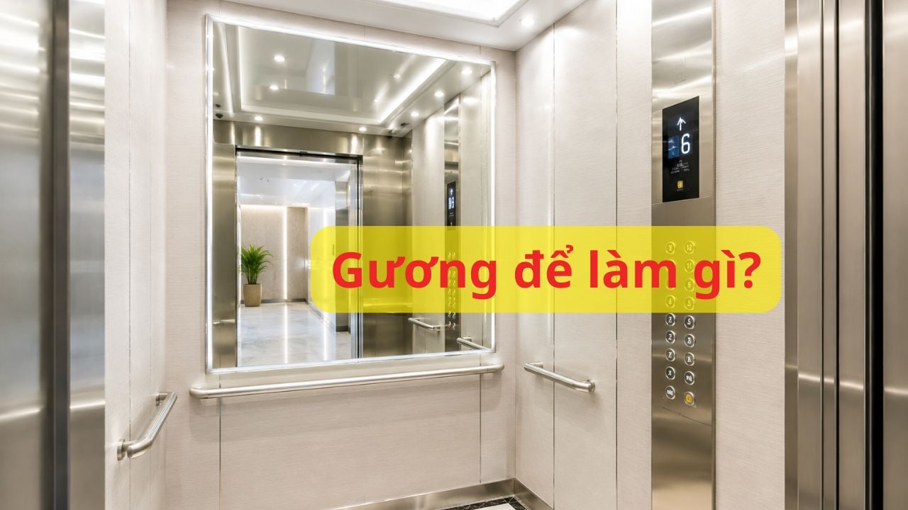 vi sao cac thang may deu co guong ly do that su khien nhieu nguoi ngo ngang 053548
