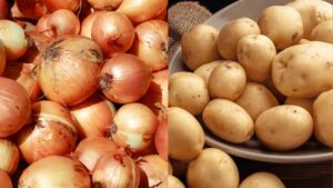 Vì sao không được để khoai tây chung với hành tây? 1 vi sao khong duoc de khoai tay chung voi hanh tay 233557