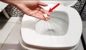 Vì sao nên bỏ một tép tỏi vào bồn cầu trước khi đi ngủ? 1 vi sao nen bo mot tep toi vao bon cau truoc khi di ngu 154421