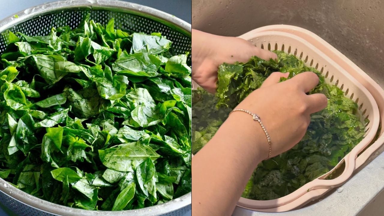 vi sao nguoi ta phai vo nat rau ngot truoc khi nau 231235