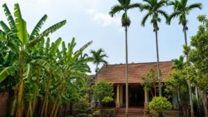 vi sao nguoi xua dan chuoi sau nha cau truoc nha neu doi vi tri thi co the anh huong gi xau 084300.j