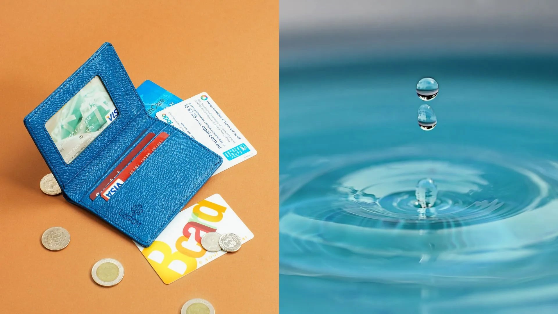 Vi Tien Cua Ban Mau Gi Hay Nhin Mau Sac Chiec Vi Cua Ban De Biet Ban Giau Hay Ngheo 230229