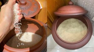 Vi Tri Dat Thung Gao Tu Loc Hut May Man Giup Gia Chu An Nen Lam Ra 232637