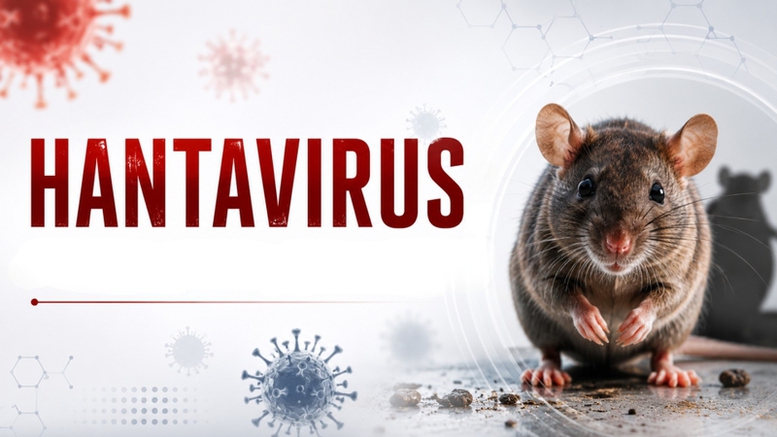 virus hanta 1 1778486371651282573698