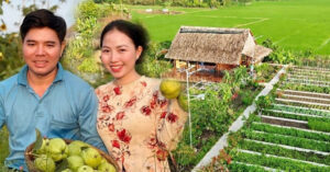 vo chong o an giang bo pho ve que dung khu vuon xanh muot hut trieu view 1379