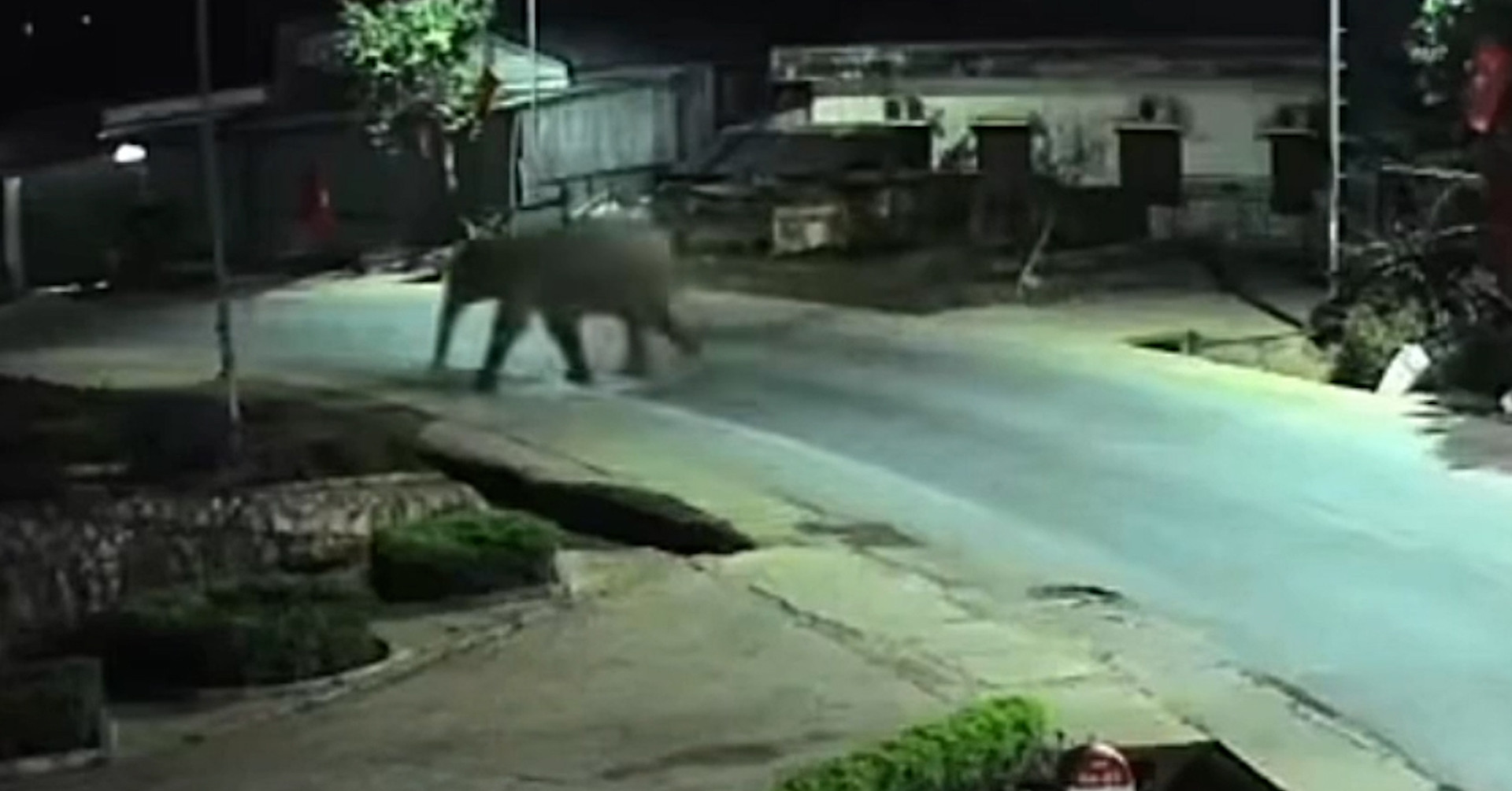 voi rung pha rao thep vao truong hoc thay co dan hoc sinh o yen trong phong 698