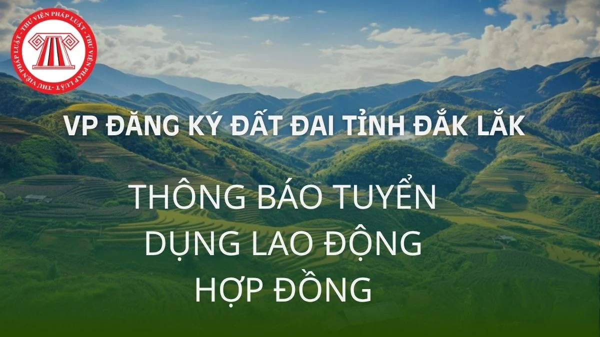 vp dang ky dat dai tinh dak lak tuyen dung lao dong hop dong