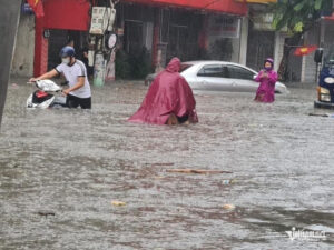 w hai phong 2 1275 1402