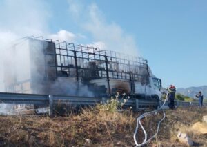 xe chay 20260328165912