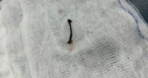 Z7382827680479653A2C425D946B30B6Ff84Eb17Fb54C9 17671494772871855782838 0 0 1340 2560 Crop 1767149541