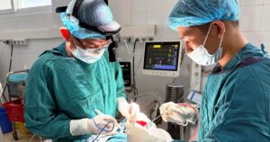 Z750423129741894Cfe0Bf3255058124721E5D22074De0 17702878216741078266072 0 0 1600 2560 Crop 1770287894