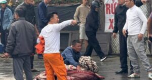 z7556827605560 5928e205b2d18b4ffa5af77a107658d9 1771842124996450758414 273 0 784 817 crop 1771842151