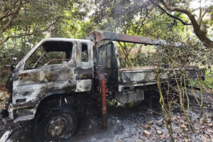 z7585554222886 5a5678317b328c2c115456afe6c4bea1 1587