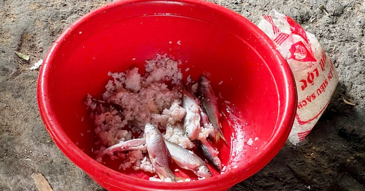 z76102862596457b67dea553ad4996ddf04b039f680184 1773229305450660911446 174 0 1172 1596 crop 177322945