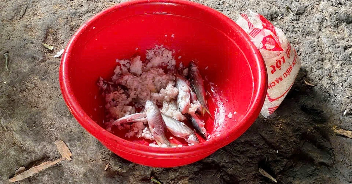 Z76370406247447288F80A9657150727A4Dbdc68F27C04 1773919356072646749808 79 0 679 960 Crop 177391950346