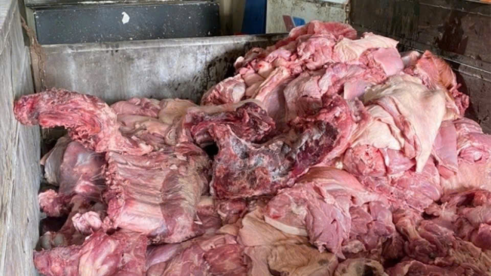 z7681051900487 1d8567ed7eb2d41c26842de7f66742a0