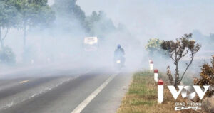 z7726594224289 2b08b3a6856357bf327f31ed48e84619