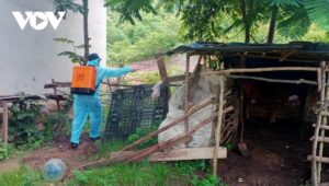 z7740824624883 dd42cee567ef487b191cb9dca5147a83 1