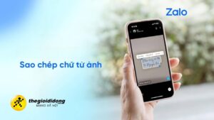 zalo sao chep 12639122802203514343